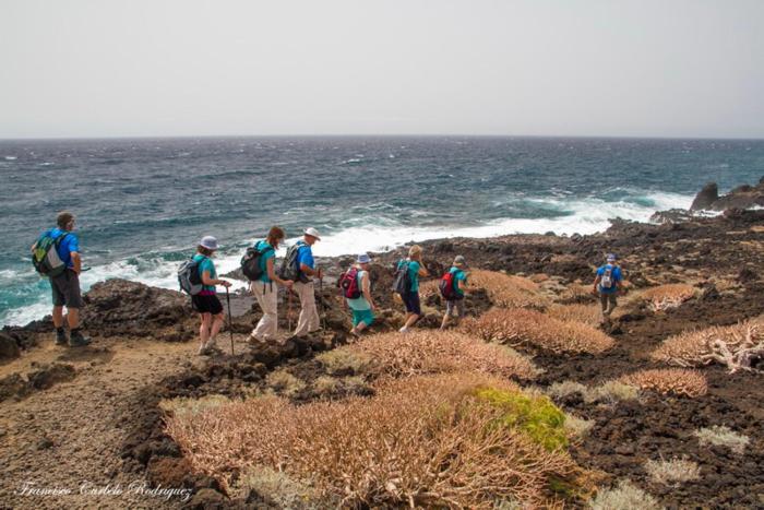 Piso Nuevo En El Puertito De Gueimar Al Lado Del Mar Realizamos Servicio De Excursiones Con Guia ปูแอร์ติโต เด กวีมาร์ ภายนอก รูปภาพ